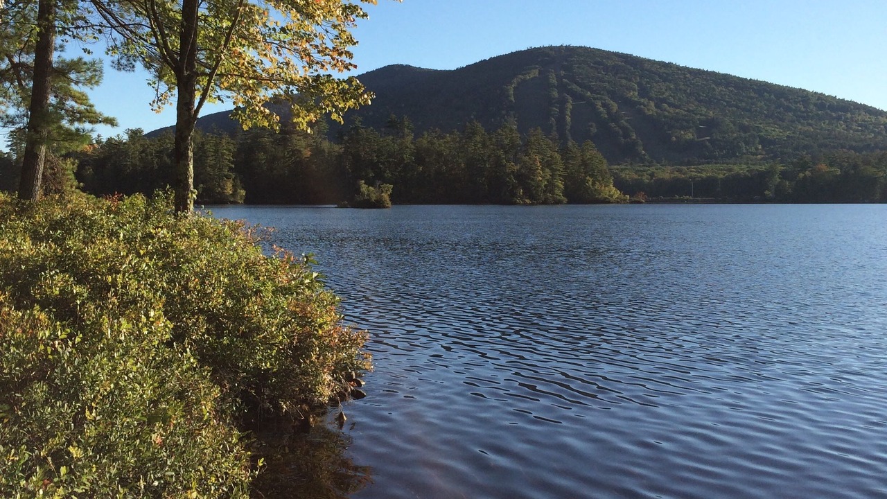 Photo of Others in Bridgton