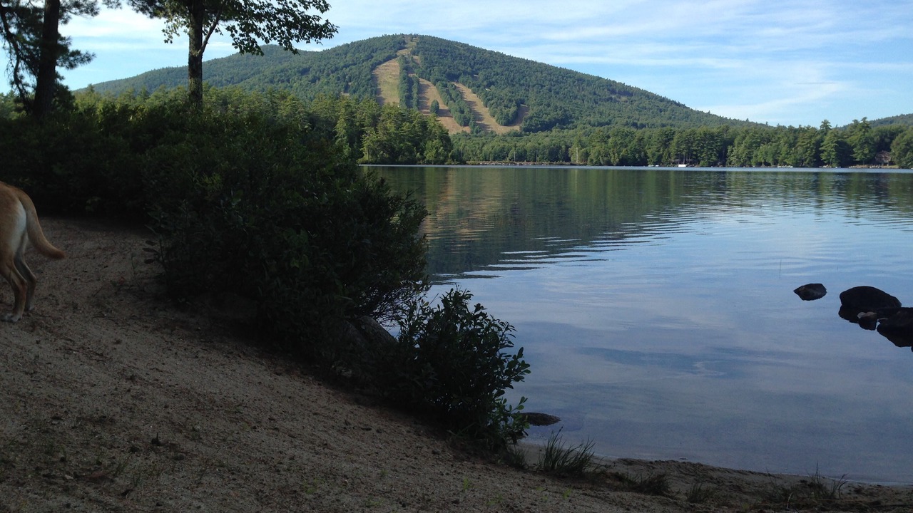 Photo of Others in Bridgton