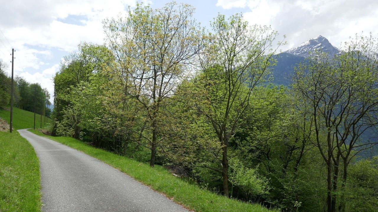 Photo of Others in Pollegio