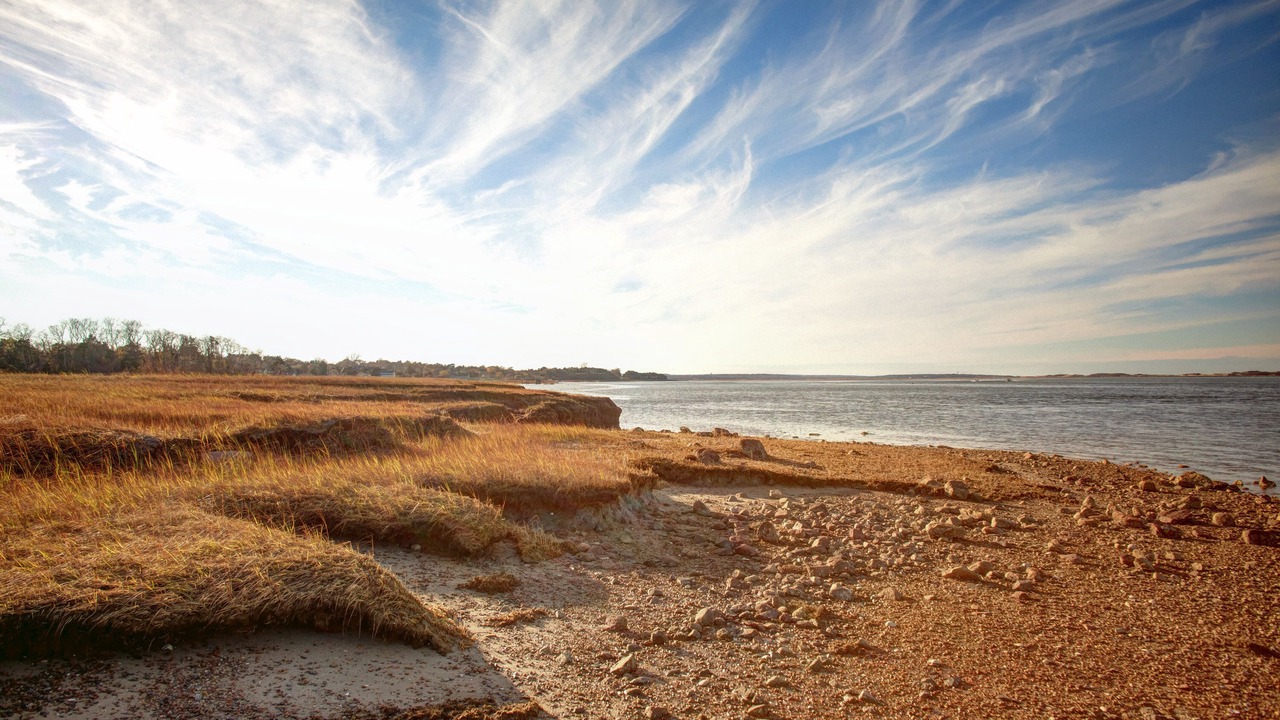 Photo of Others in Barnstable