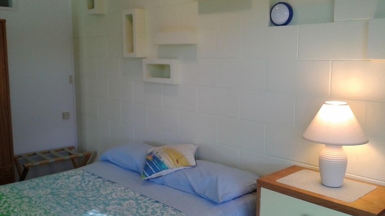 Photo of Others in Coromandel