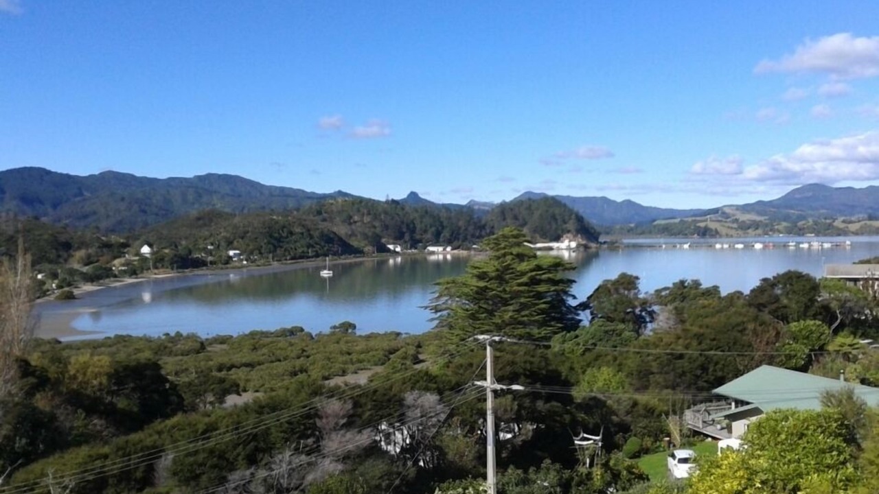 Photo of Others in Coromandel