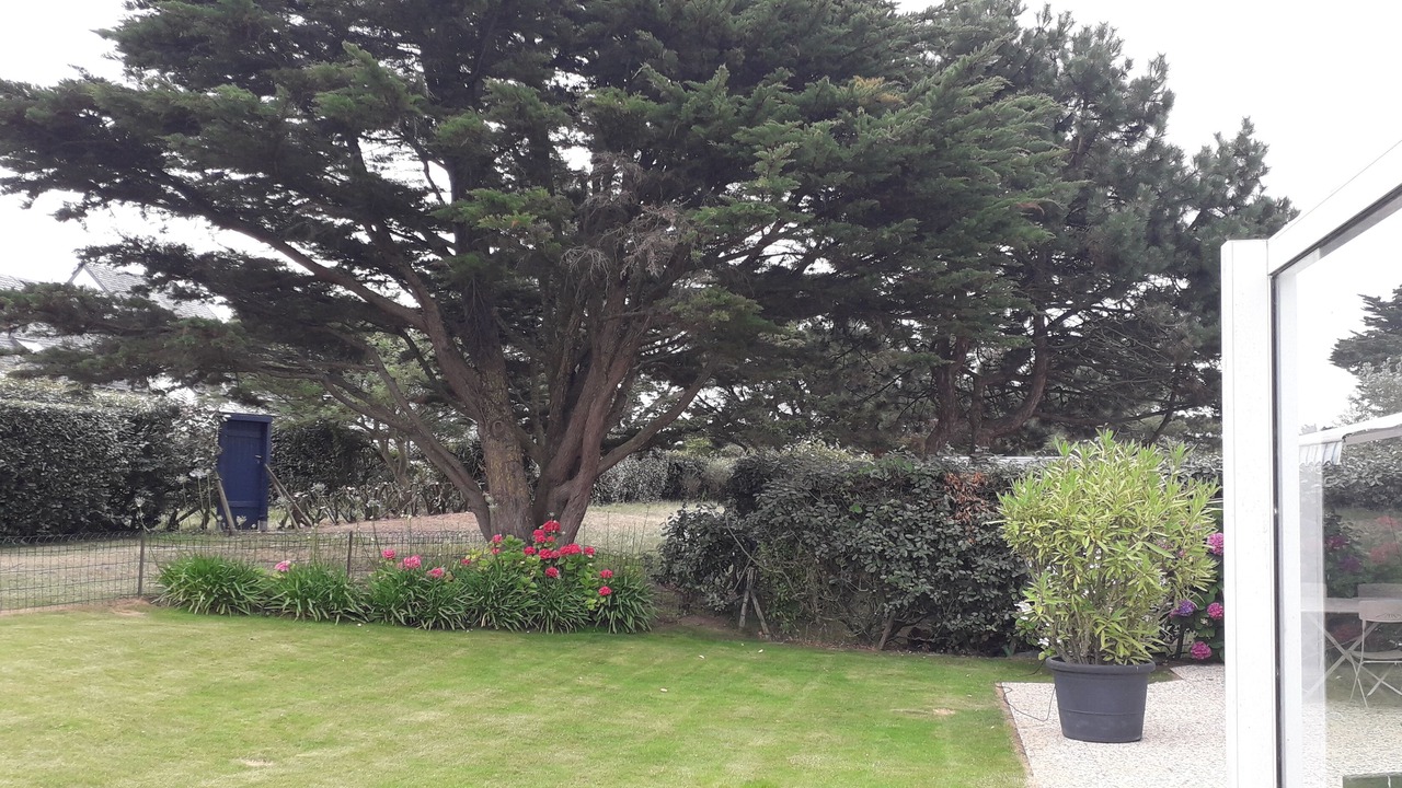 Photo of Outdoor in Batz-sur-Mer