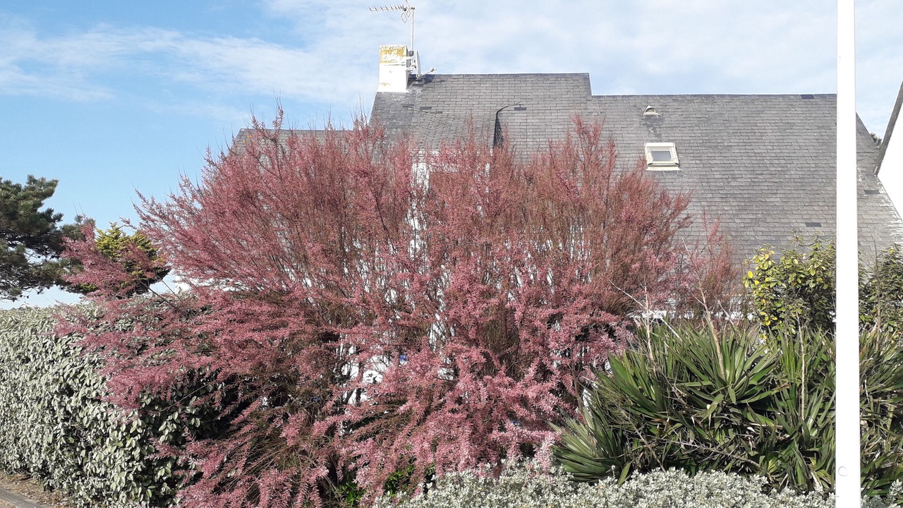 Photo of Outdoor in Batz-sur-Mer