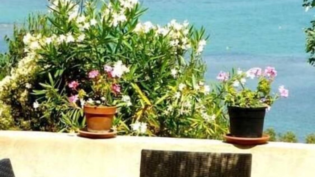 Photo of Outdoor in Saint-Florent