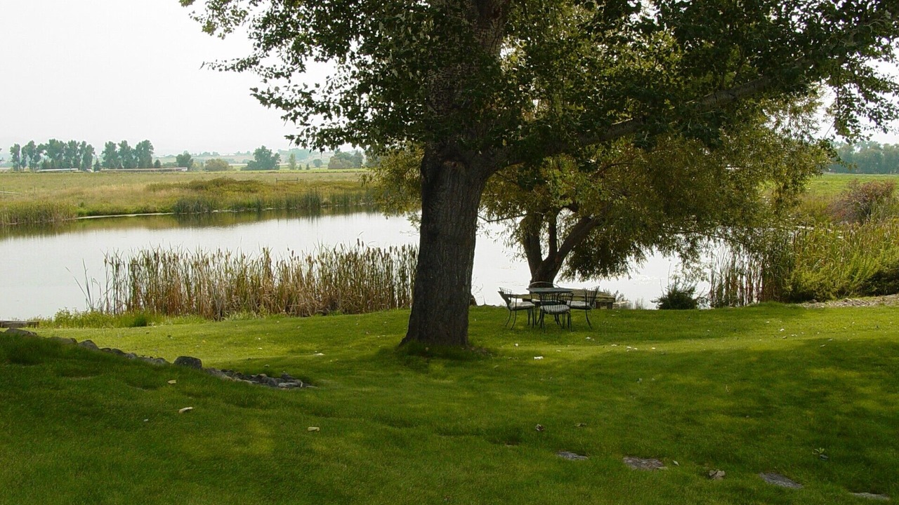 Photo of Outdoor in Corvallis