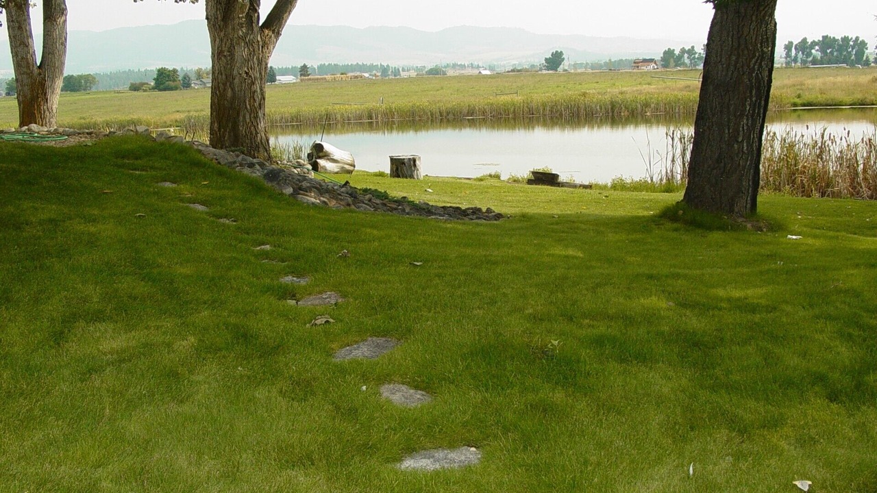 Photo of Outdoor in Corvallis