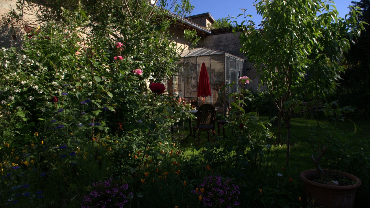 Photo of Outdoor in Lisle-sur-Tarn