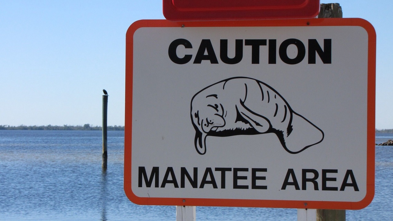 Photo of Outdoor in Caloosahatchee