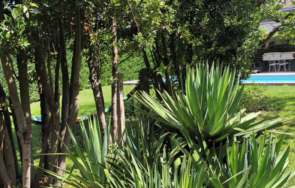 Photo of Outdoor in La Dagueniere