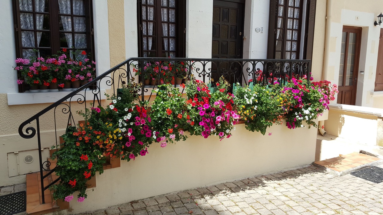 Photo of Outdoor in Pouilly-sur-Loire
