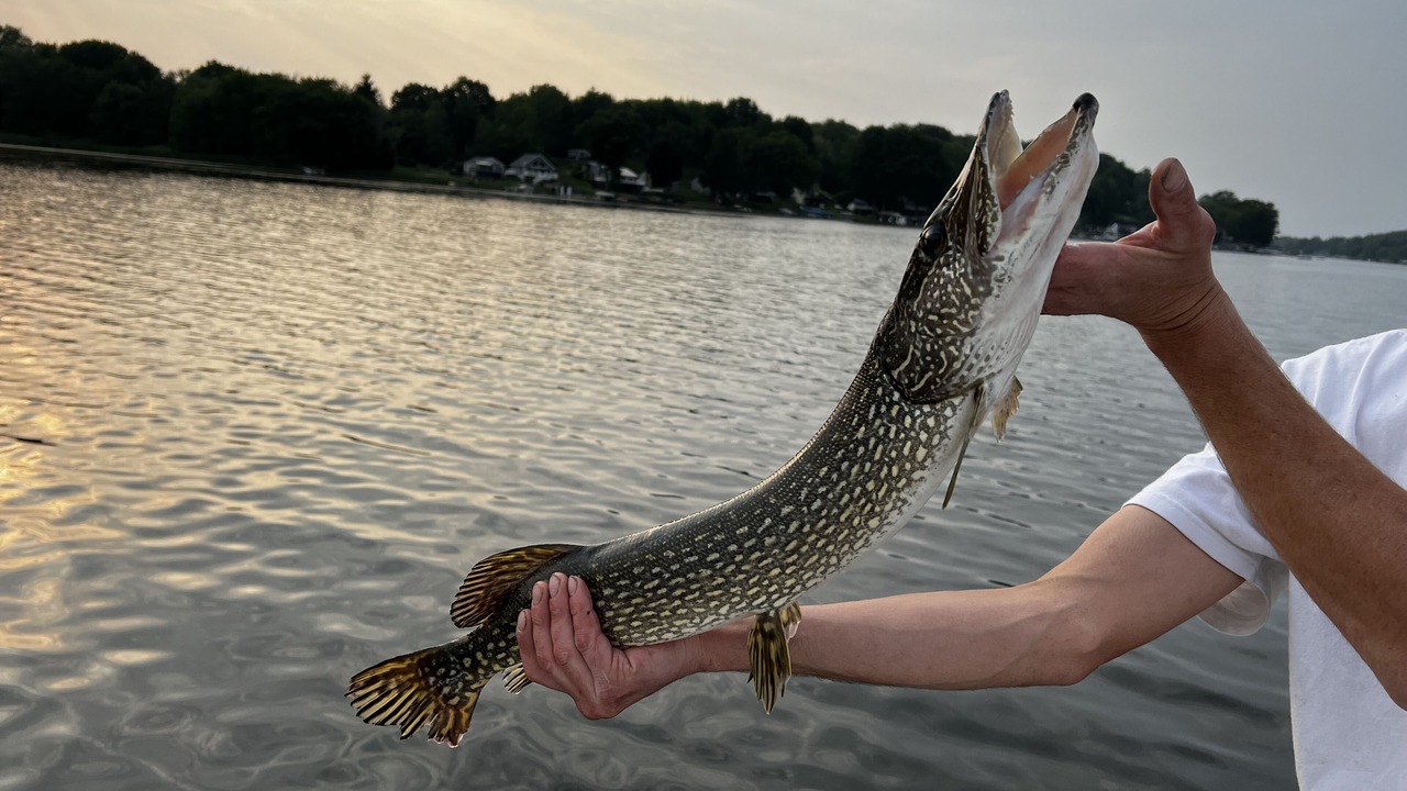 Photo of Others in Wolcott