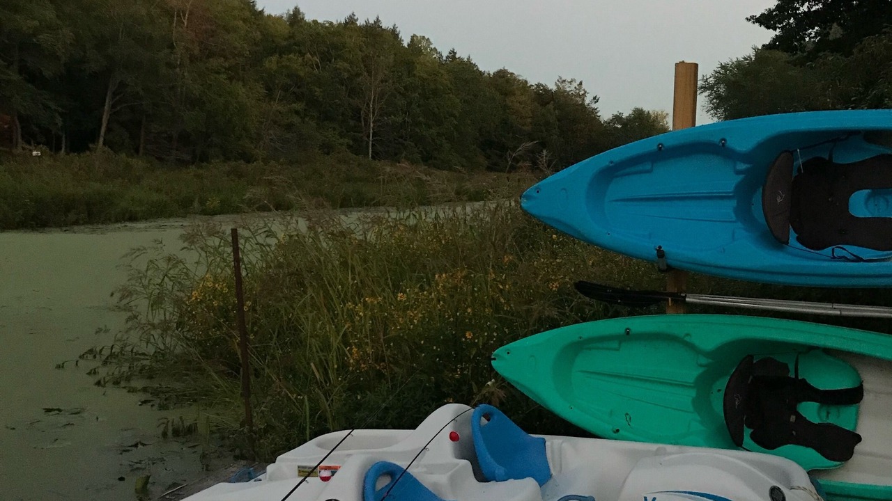 Photo of Outdoor in Wolcott