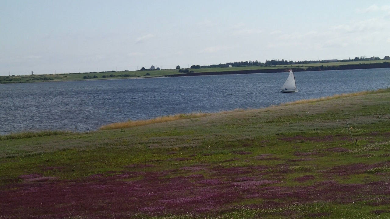 Photo of Others in Princetown