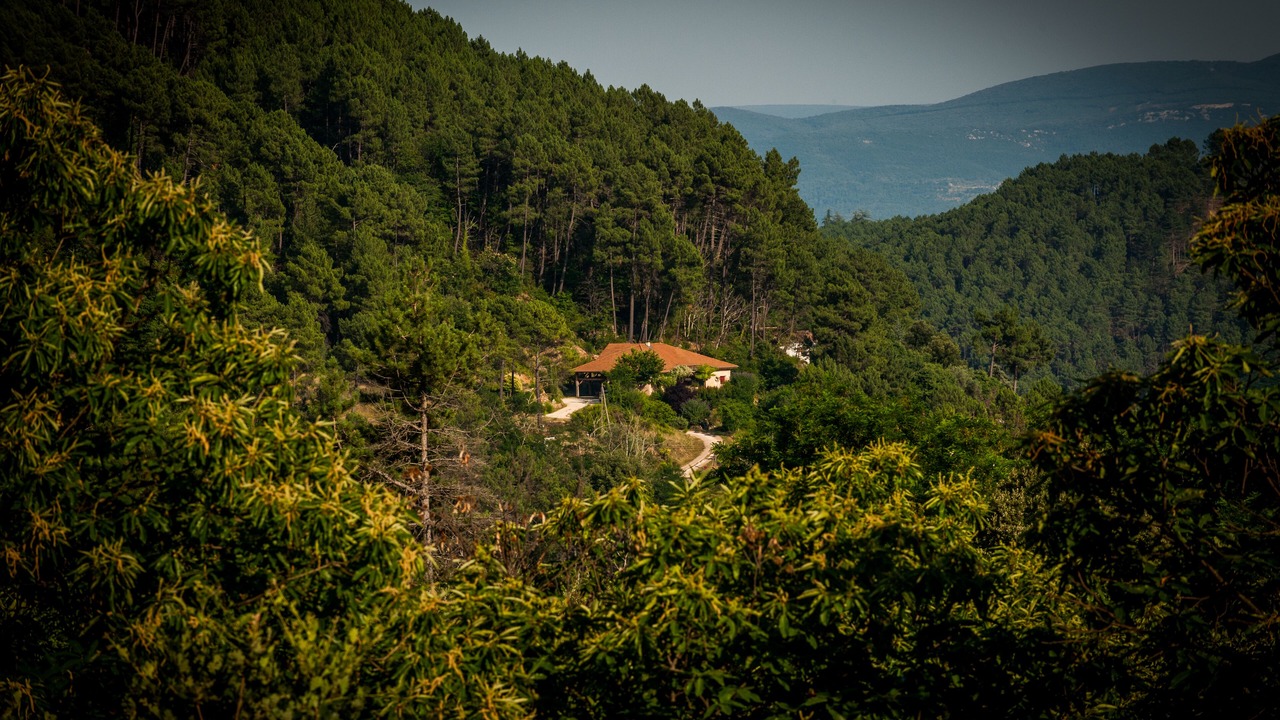 Photo of Outdoor in Saint-Andre-Lachamp