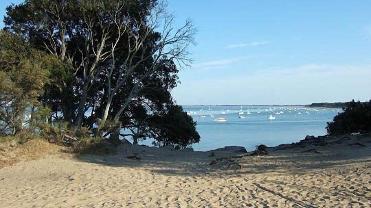 Photo of Others in La Barre-de-Monts