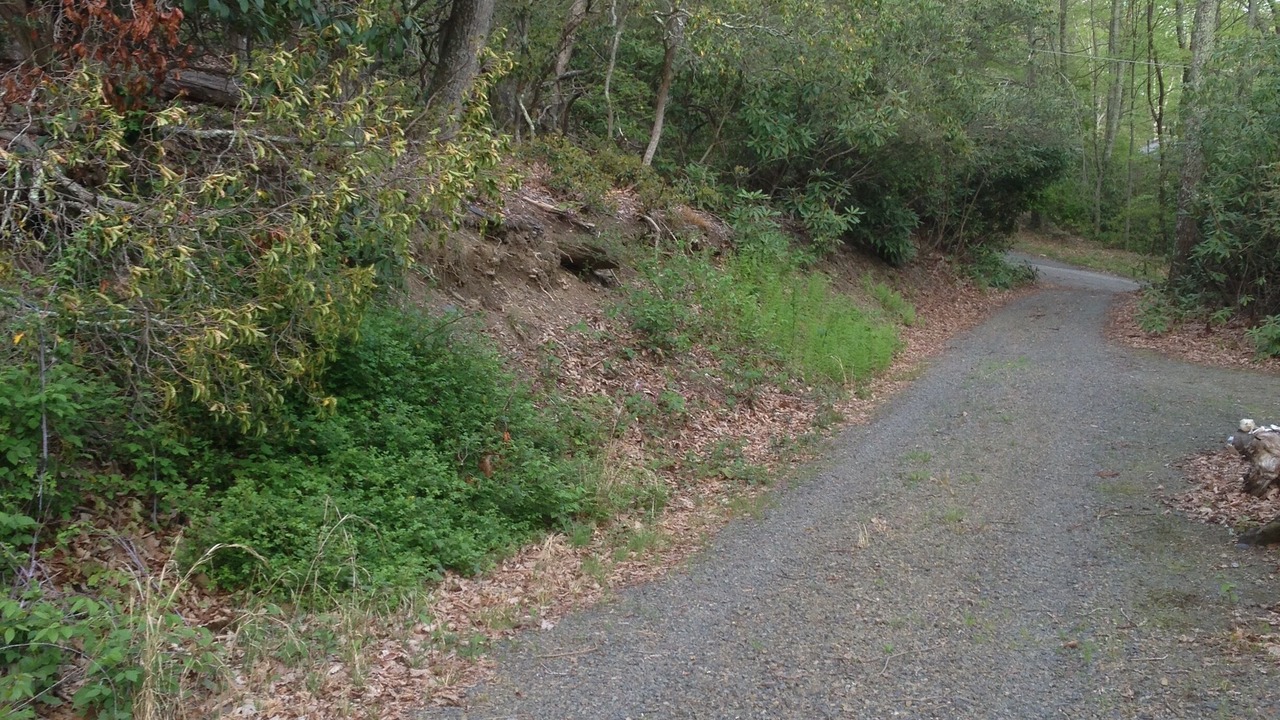 Photo of Outdoor in Meadows Of Dan