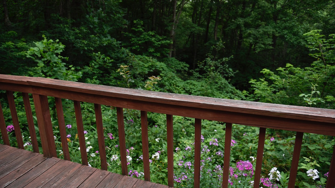 Photo of Outdoor in Meadows Of Dan