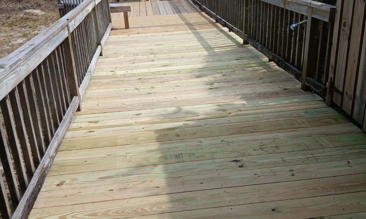 Photo of Others in North Carolina Coast