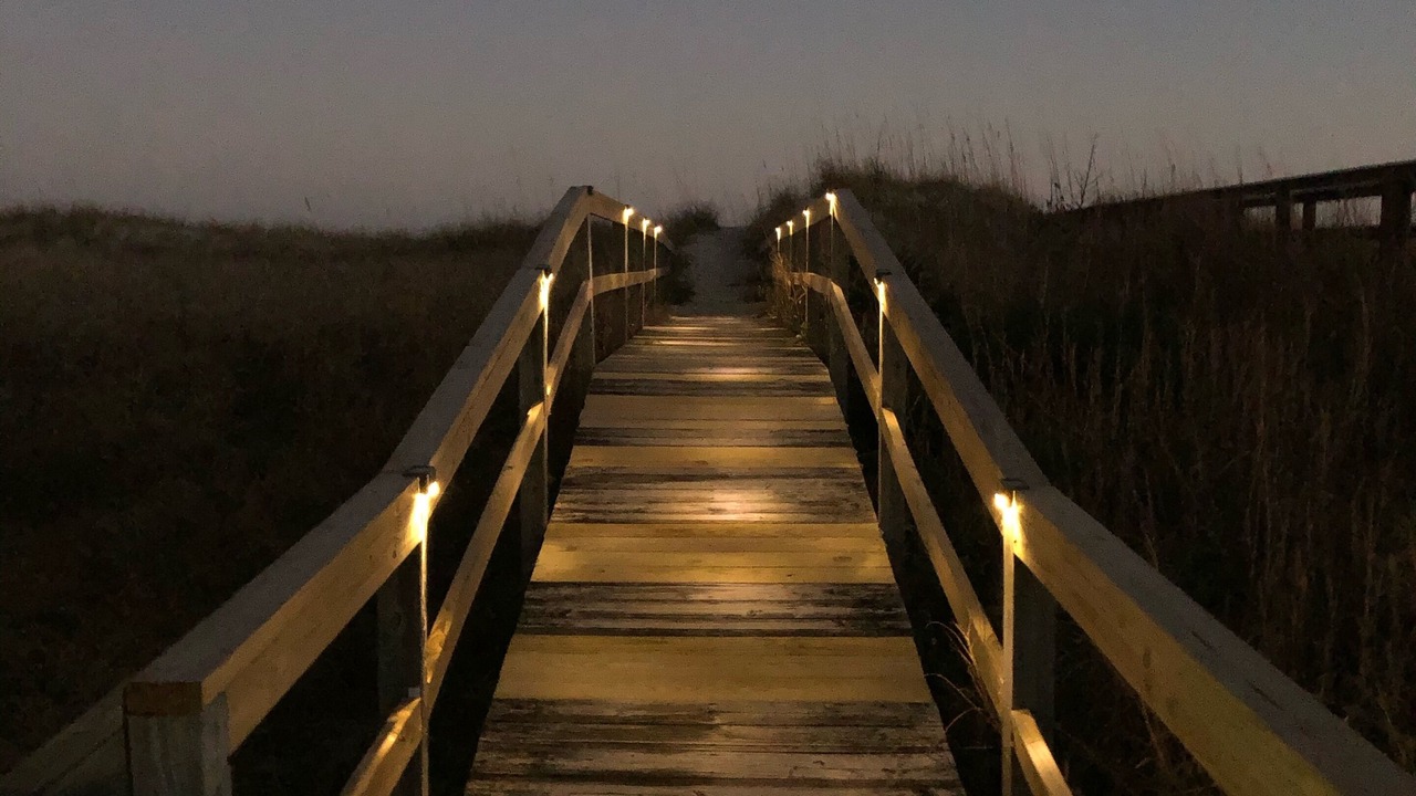 Photo of Others in North Carolina Coast