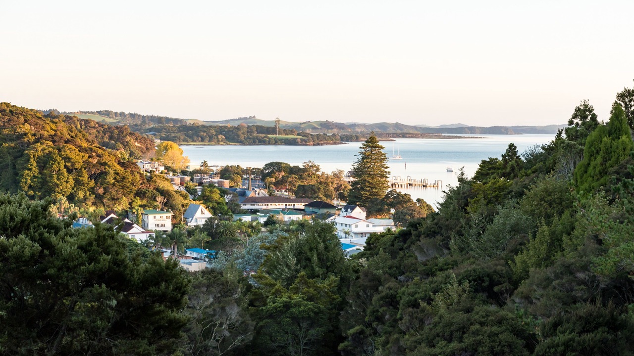 Photo of Outdoor in Paihia