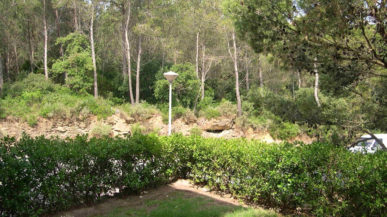 Photo of Outdoor in Pals