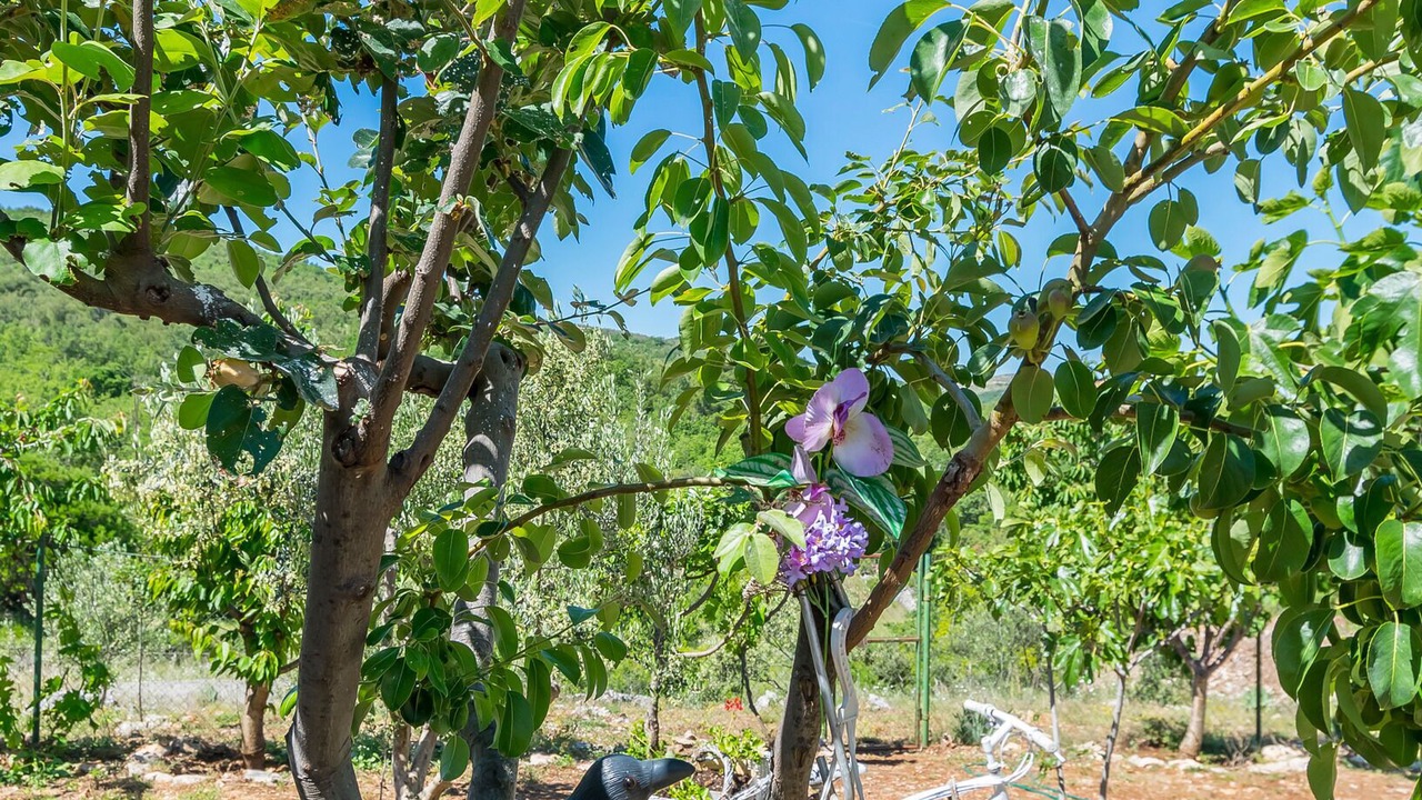 Photo of Outdoor in Sibenik