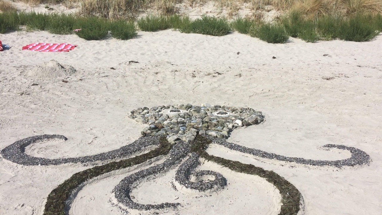 Photo of Others in Stege