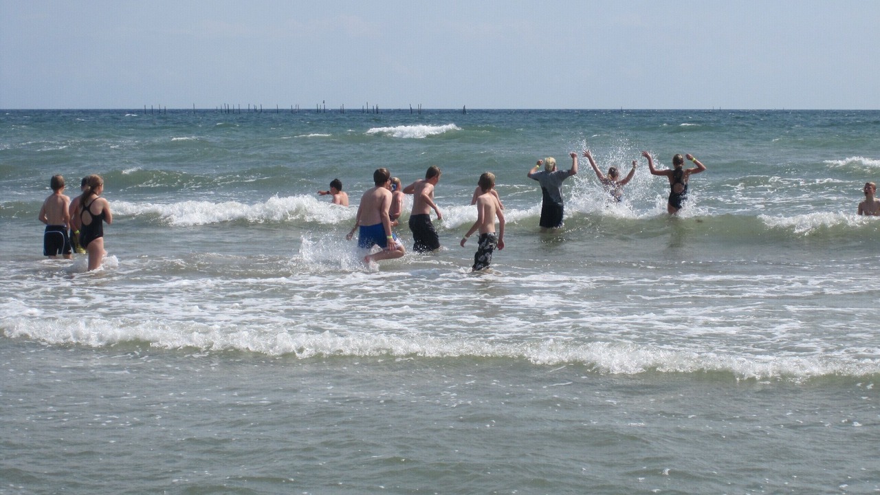 Photo of Others in Stege