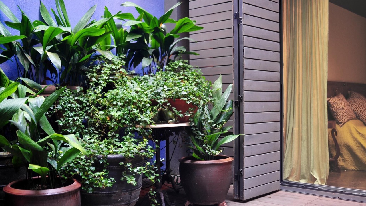 Photo of Outdoor in Sant Feliu de Guixols