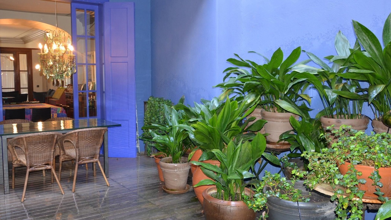 Photo of Outdoor in Sant Feliu de Guixols