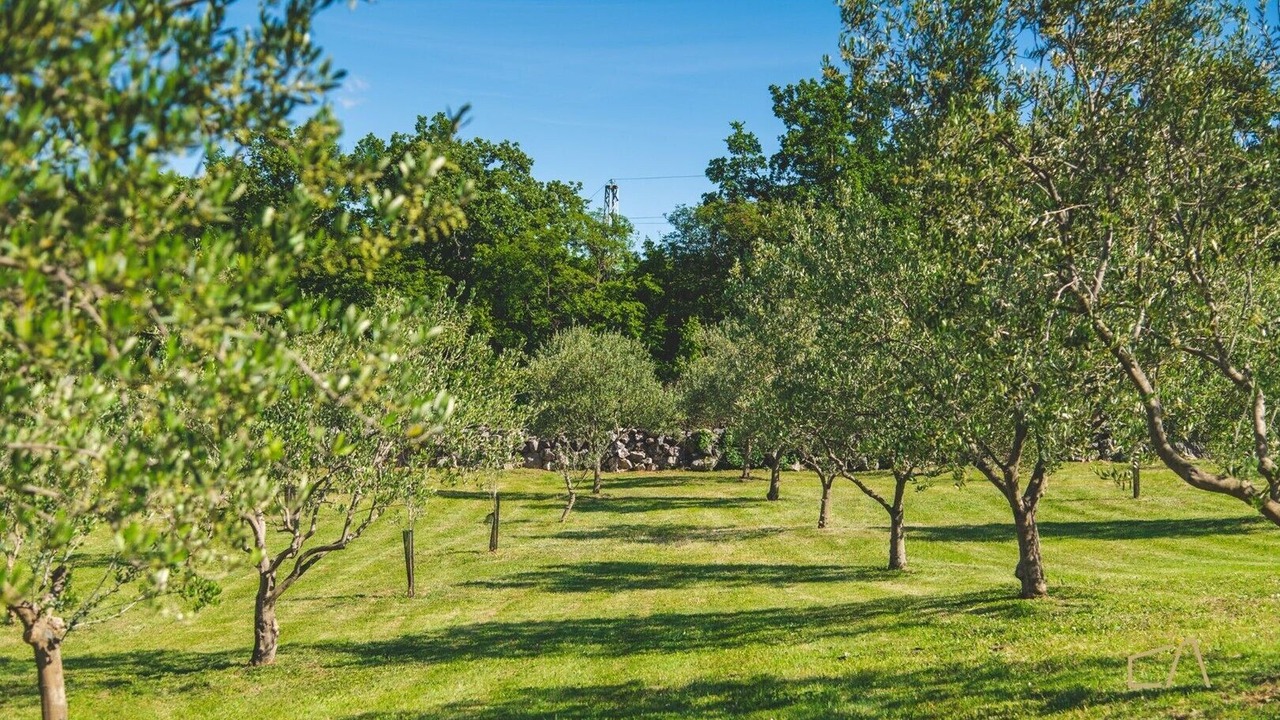 Photo of Outdoor in Sveti Vid Dobrinjski