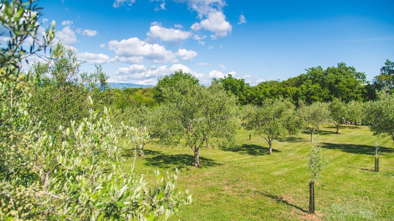 Photo of Outdoor in Sveti Vid Dobrinjski