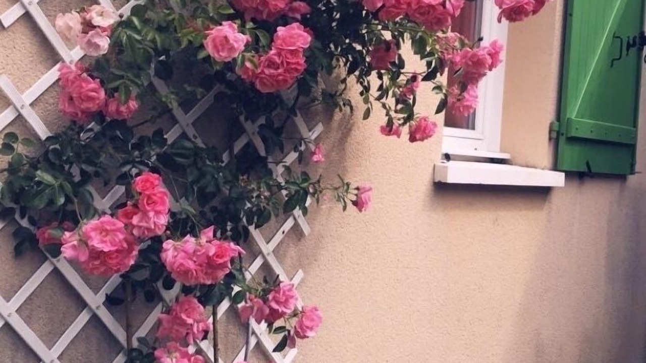 Photo of Outdoor in Saint-Germain-sur-Ay