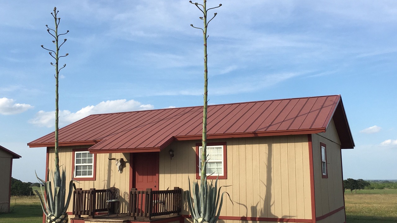 Photo of Others in Sutherland Springs