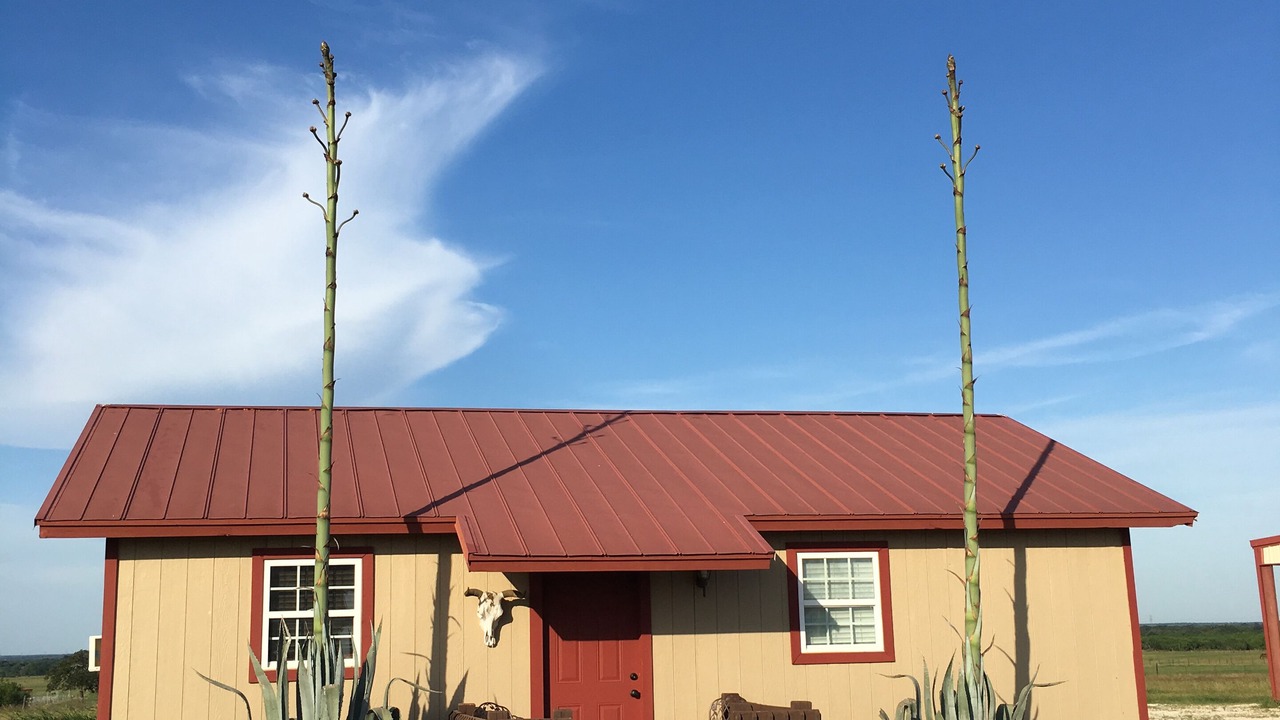 Photo of Others in Sutherland Springs