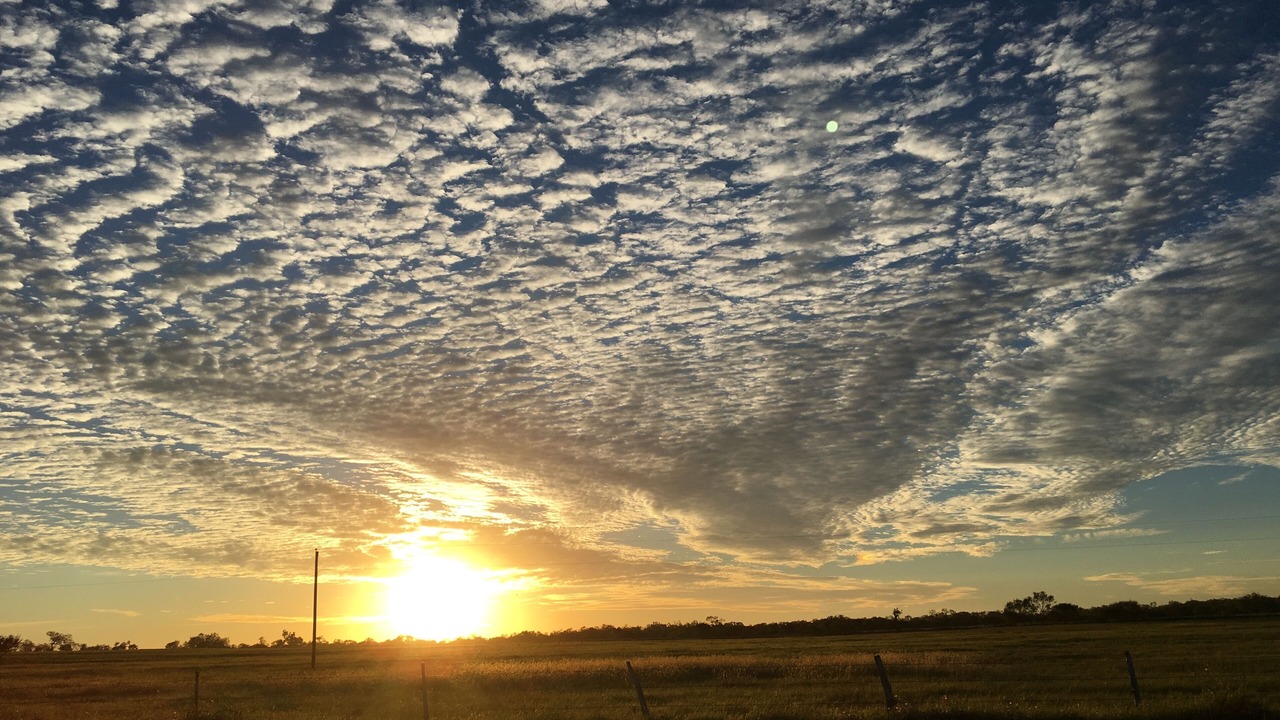 Photo of Others in Sutherland Springs