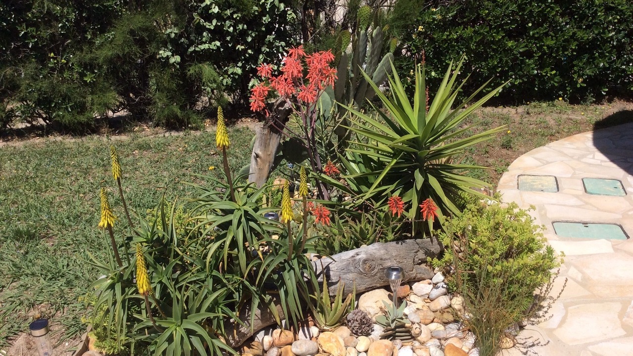 Photo of Outdoor in Le Barcares