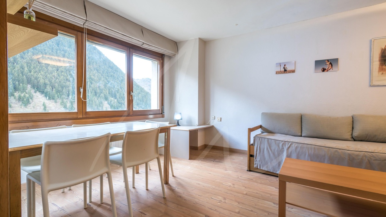 Photo of Livingroom in Baqueira