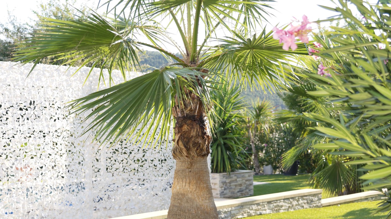 Photo of Outdoor in Bagnols-en-Foret