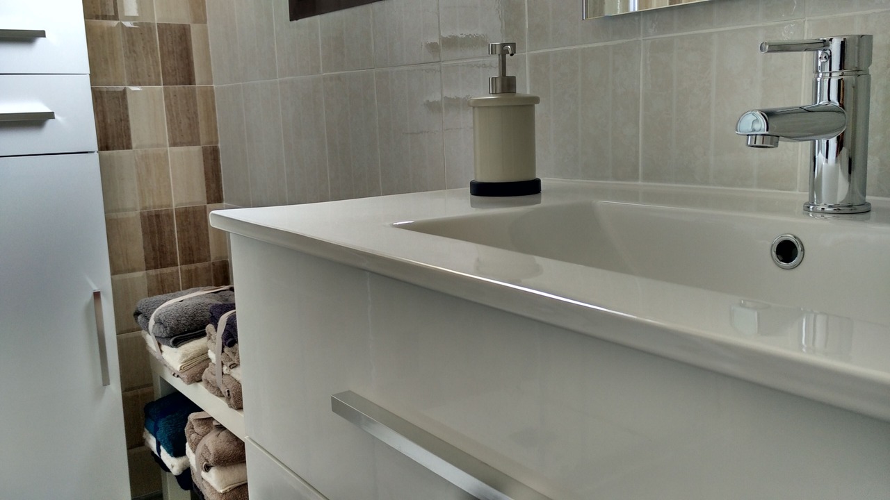 Photo of Bathroom in La Pineda