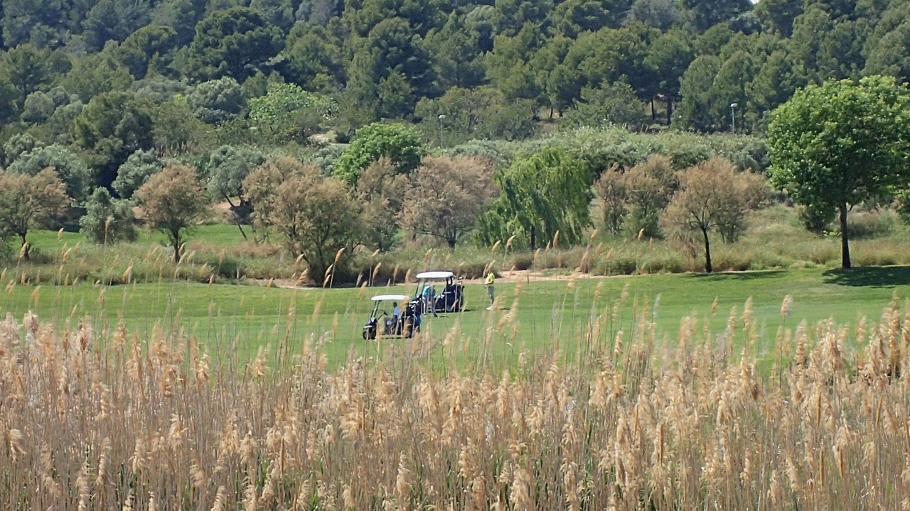 Photo of Others in La Pineda