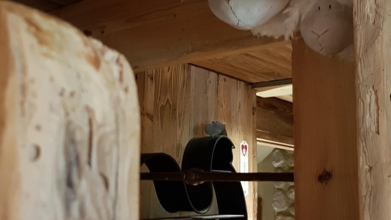 Photo of Bedroom in Praz-sur-Arly