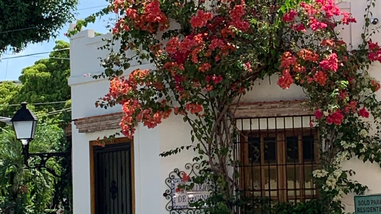 Photo of Outdoor in Zona Colonial