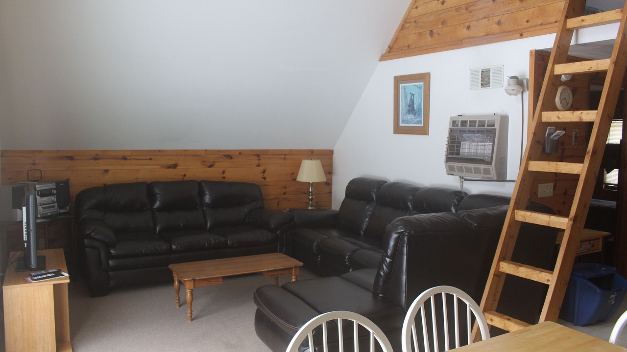 Photo of Livingroom in Munising