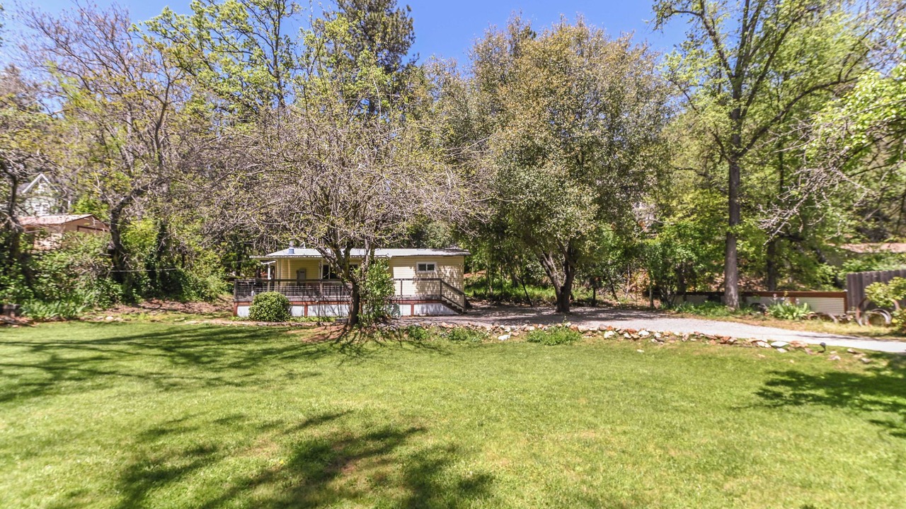 Photo of Outdoor in Murphys