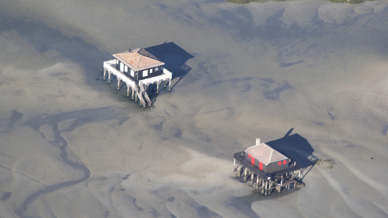 Photo of Outdoor in Audenge