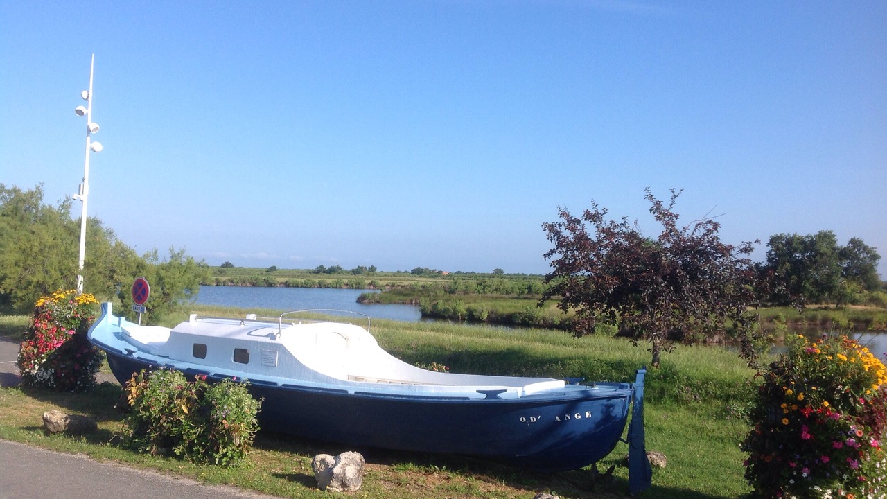 Photo of Outdoor in Audenge