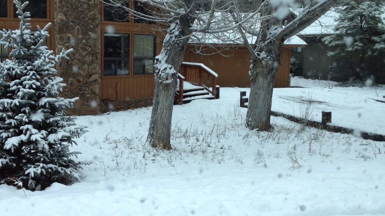 Photo of Outdoor in Munds Park