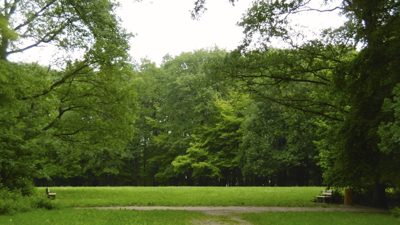 Photo of Others in Clamart